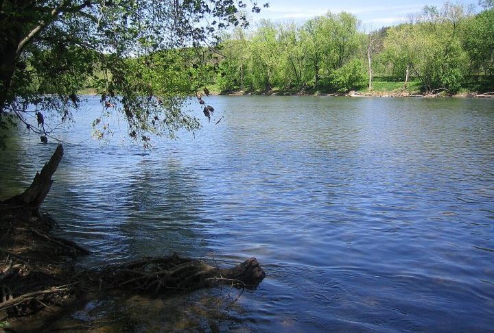 Depois, em 2004, apareceu no Rio Potomac, que passa por três estados e pela capital, Washington DC. Agora, também foi encontrado no Missouri.