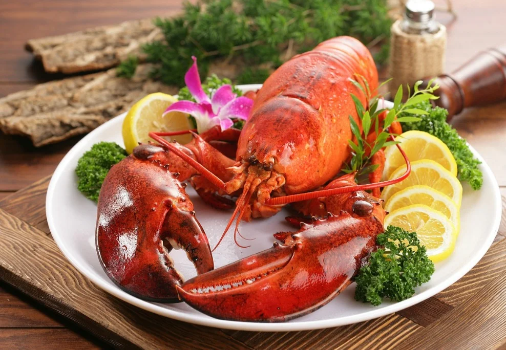 Além disso, a lagosta é uma excelente fonte de proteína, com poucas calorias, sendo uma boa opção para quem busca uma alimentação saudável. 