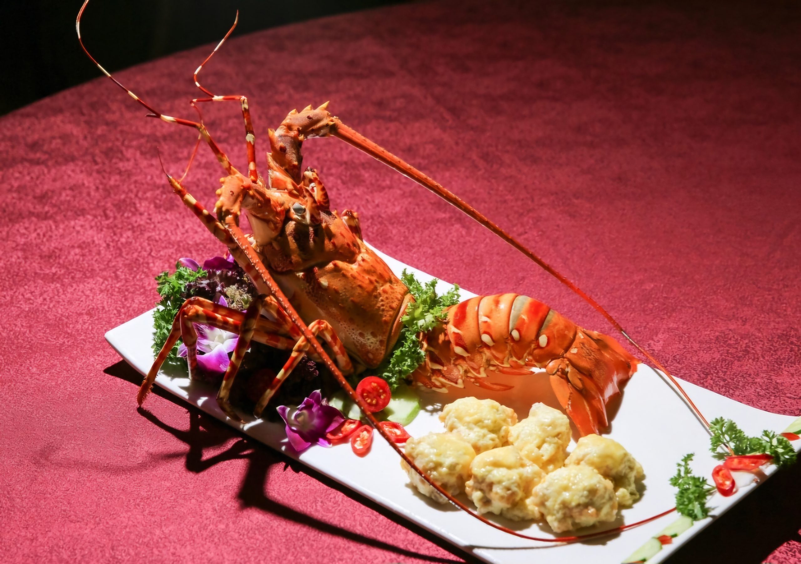 Ela tem origem no Oceano Atlântico Norte, onde a espécie Homarus gammarus é encontrada. No entanto, a lagosta espinhosa, também conhecida como Panulirus argus, é mais comum em águas tropicais e subtropicais, desde o Mar do Caribe até o litoral do sudeste brasileiro. 