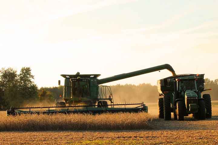 Segundo dados de 2025 do ComexStat e levantamentos do Insper Agro Global, o país está entre os maiores exportadores do mundo em diversas categorias. A seguir, os produtos líderes, com valores exportados e a importância de cada um.