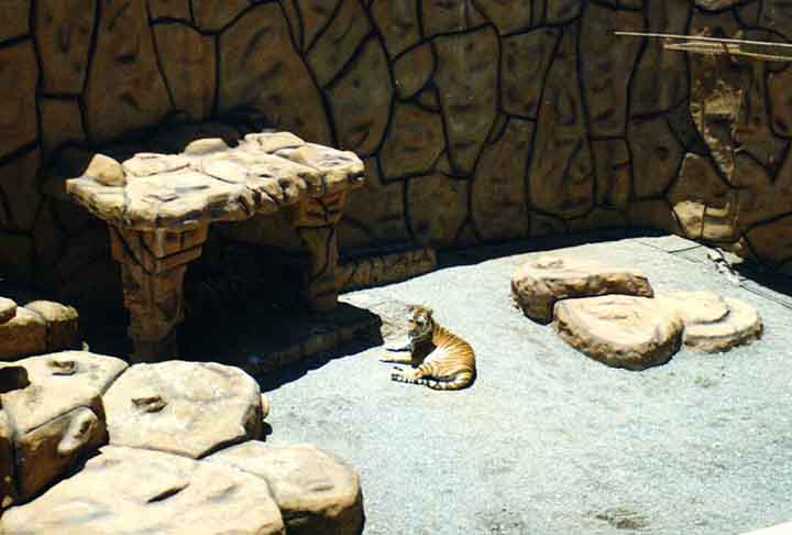 O parque está implantado em uma propriedade com 14 quilômetros quadrados junto ao Kartódromo Internacional Beto Carrero e o Instituto Beto Carrero, havendo bastante espaço para expansões e novos empreendimentos.