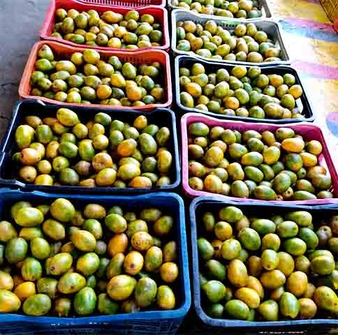 É fonte de vitamina C, importante para a imunidade, e de minerais como cálcio, fósforo e ferro, essenciais para a saúde óssea e muscular. 