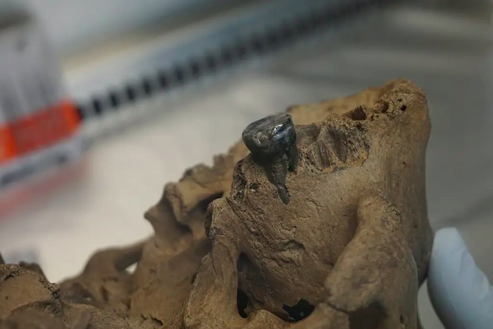 Além da Sibéria, evidências genéticas sugerem que os denisovanos podem ter habitado partes da Ásia, incluindo o Tibete, onde um fóssil de mandíbula encontrado em 2019 foi vinculado a eles. 