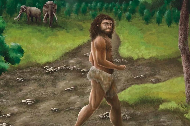 Os denisovanos foram um grupo extinto de hominídeos que viveu na Ásia durante o período Pleistoceno, sendo contemporâneos dos neandertais e dos primeiros humanos modernos (Homo sapiens).
