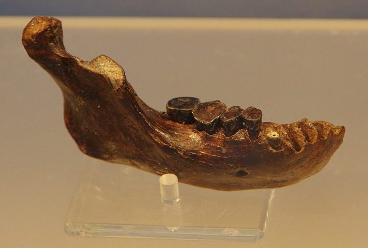 Apesar dos avanços, ainda há muitas perguntas sobre a aparência, cultura e extinção dos denisovanos.