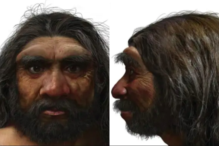 Espera-se que o nome Homo longi se torne o nome oficial da espécie Denisovana, embora o termo denisovano provavelmente permaneça como um apelido popular. 