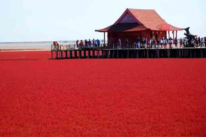 O centro urbano mais próximo é Panjin, onde normalmente ficam hospedados os turistas que buscam esse cartão postal idílico. Tanto que a área é também conhecida como Praia de Panjin.
