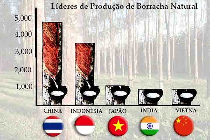 Atualmente, países como Tailândia e Indonésia lideram a produção global de borracha natural. O setor continua a gerar empregos e atender demandas da indústria automobilística e tecnológica.