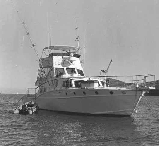 O caso ocorreu em 29/11/1981. Natalie tinha 43 anos. Ela havia embarcado para um passeio de iate com o marido, Robert Wagner, o ator Christopher Walken e o capitão da embarcação, Dennis Davern.  