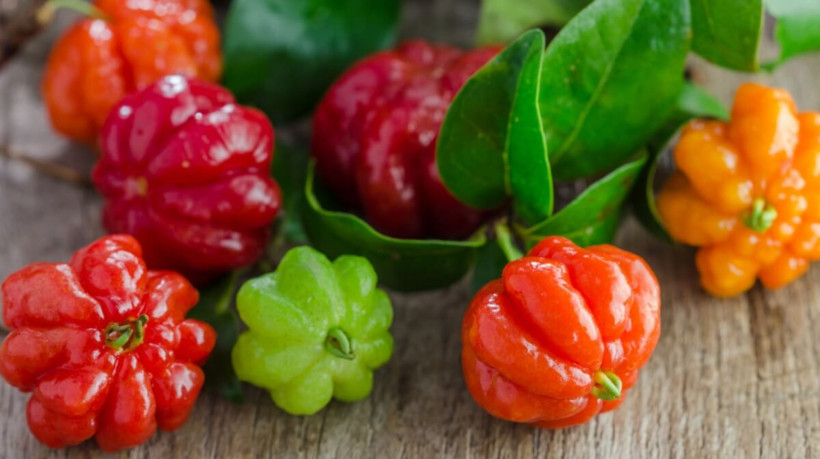 A pitanga é rica em nutrientes essenciais para o funcionamento do organismo (Imagem: artpritsadee | Shutterstock) 