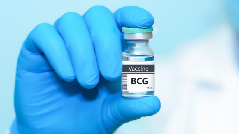 Dia da Vacina BCG relembra a importância do imunizante contra a tuberculose (Imagem: StanislavSukhin | Shutterstock) 