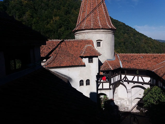 Drácula é classificado como horror gótico, pela ambientação que inclui castelos medievais e símbolos místicos do século XVIII.  