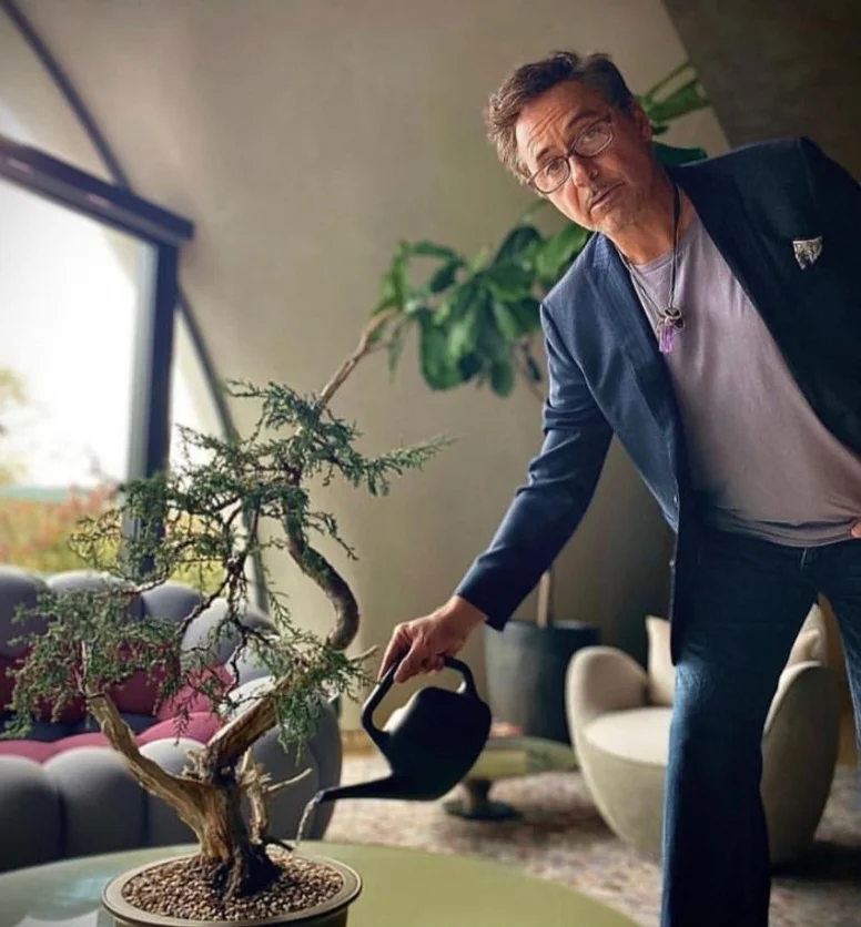 E a sua escolha por moradia com base em conceitos de defesa do meio ambiente (foto) ganhou destaque nas mídias sobre o astro americano, que em breve voltará ao universo da Marvel encarnando desta vez um vilão: Doutor Destino.