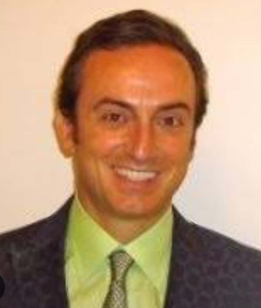 O arquiteto responsável pela mansão de Downey Jr. é Nicolò Bini, filho de Dante Bini. Nicolò seguiu os passos do pai e se dedicou ao desenvolvimento da técnica binishell, que ele aprimorou com o tempo.