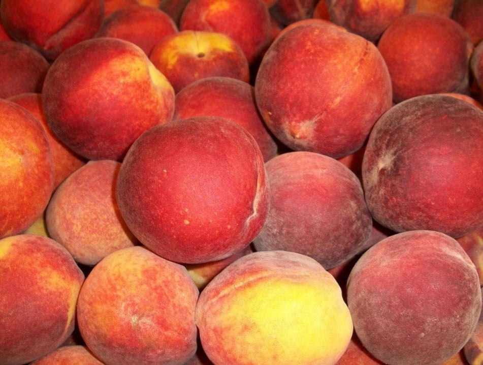 A vitamina A e o betacaroteno presentes neste fruto são importantes para a saúde ocular e podem ajudar a prevenir problemas de visão. Nutrientes que favorecem a prevenção da catarata e evita degeneração macula, uma doença que diminui a nitidez e a capacidade da visão central.