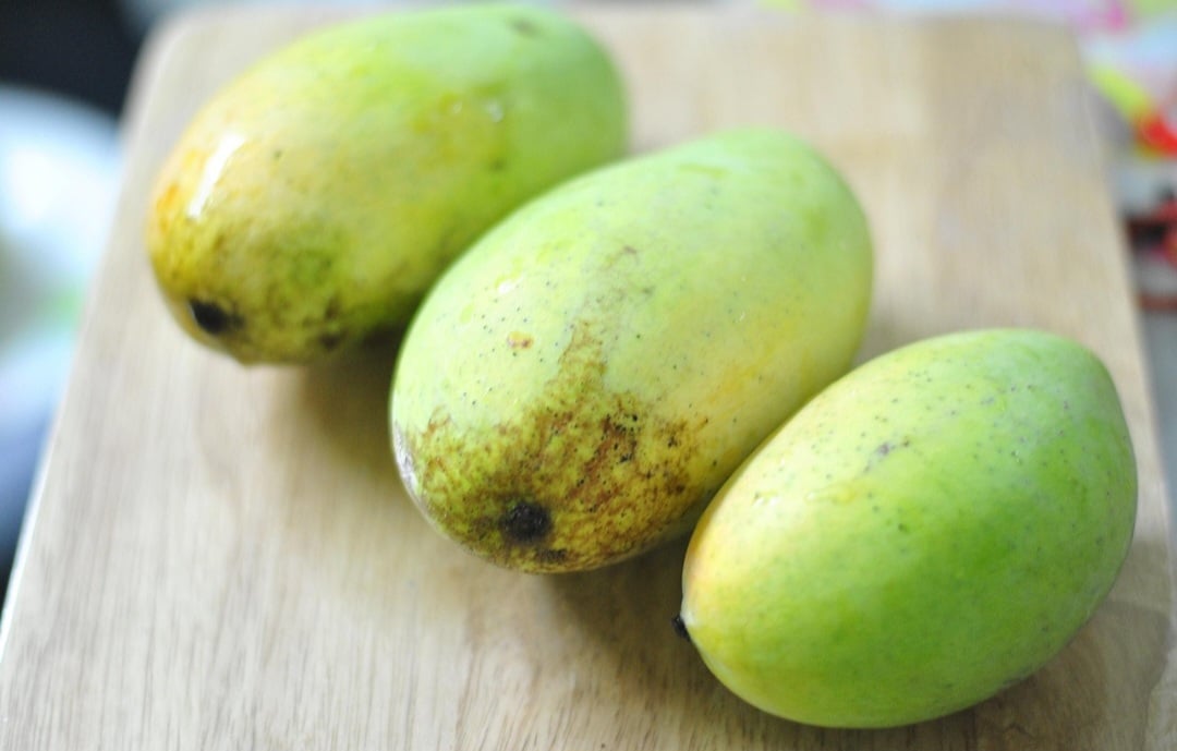 Economicamente, o cultivo da manga gera empregos, impulsiona a economia local e internacional, e contribui para a balança comercial brasileira. O caroço deste fruto pode ser plantado para gerar uma nova mangueira. 