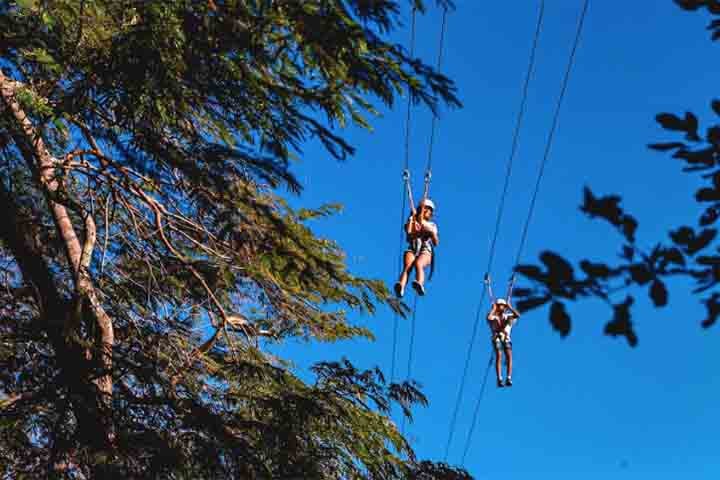 Outras opções incluem trilhas suspensas, que permitem uma caminhada entre as árvores, e até tirolesa, para os mais radicais.
