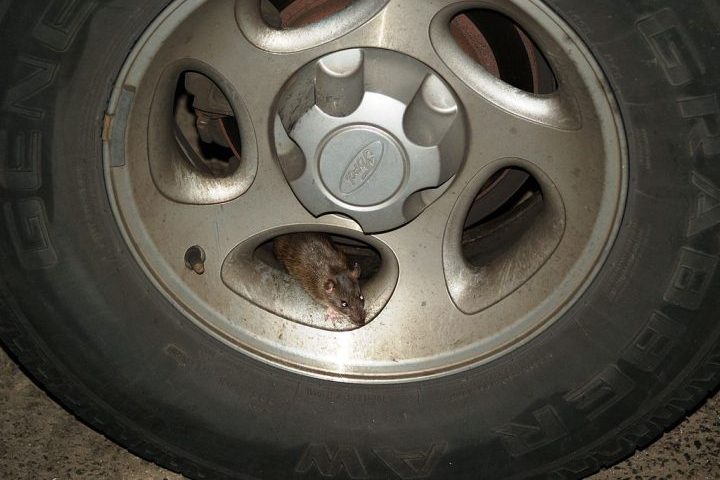  A medida já mostrou resultados positivos: zonas de mitigação registraram queda de 14% nas reclamações.