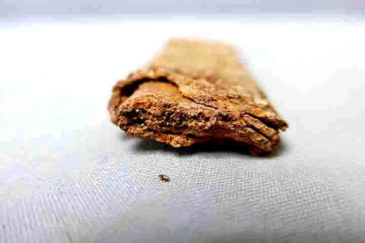 Outra tábua foi submetida à tomografia de raio-X, mas ainda não foi desenrolada virtualmente. As escavações terminam em janeiro, mas as análises seguirão nos laboratórios.