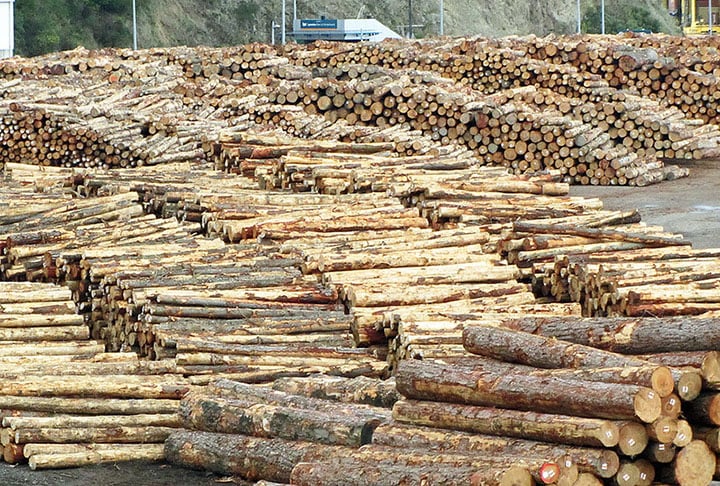 Madeira - A imensa área de florestas favoreceu o Brasil no ramo madeireiro. Além da madeira em si, a madeira também rende a celulose, usada para a fabricação do papel, além de produtos de uso industrial, como fibras artificiais, películas e plásticos, como o celuloide, usado na indústria cinematográfica.