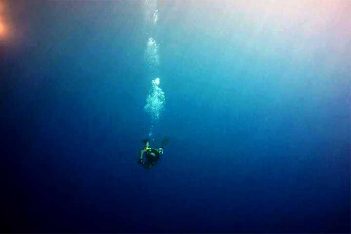O horário da visitação vai de segunda à sexta, das 8h às 17h. O lugar fica fechado nos feriados.