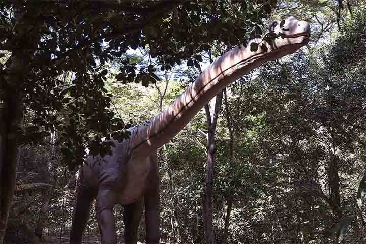 O grande destaque do parque Terra dos Dinos são as mais de 40 réplicas de dinossauros em escala real, que chegam a atingir 30 metros de altura, como o Argentinossauro.