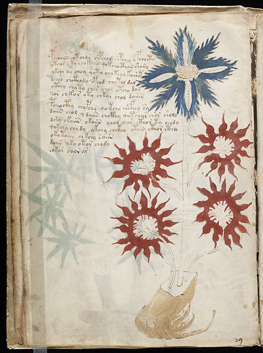 Alguns mistérios continuam, como o Manuscrito de Voynich, um codex ilustrado, com 240 páginas, do século 15. Ganhou a alcunha de o livro que ninguém consegue ler. Foi descoberto na Polônia em 1912 pelo livreiro americano Wilfrid Voynich. O acadêmico Gerard Cheshire, da Universidade de Bristol, no Reino Unido, alegou tê-lo desvendado, mas a comunidade acadêmica rejeitou. 