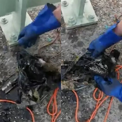 Apesar da alegria de ter achado dinheiro, a maioria das notas estava encharcada e destruída pela água. 