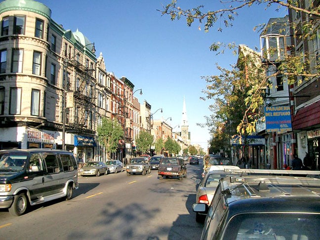 Chicago (Illinois) – Mesmo sendo uma grande metrópole, bairros residenciais com árvores têm registros constantes de panes provocadas por esquilos.