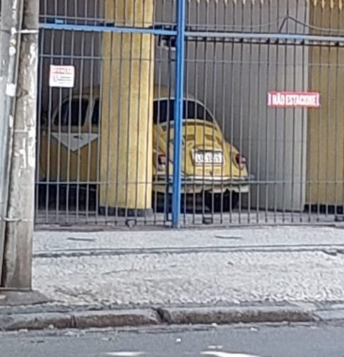 Além disso, a plataforma analisou em quais estados o VW Fusca teve mais compradores, foi mais procurado e mais anunciado. São Paulo, o estado mais populoso do Brasil, lidera em todos esses quesitos, seguido por Minas Gerais e Rio de Janeiro. 