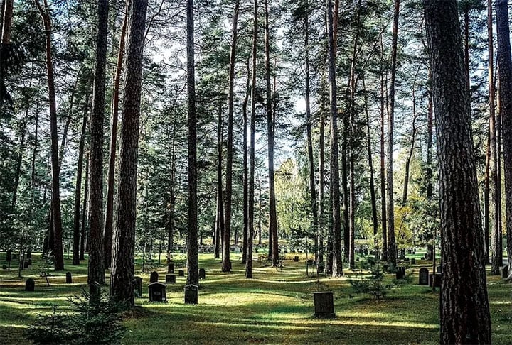 Cemitério Kogskyrkogarde (Suécia): Inaugurado em 1920, esse cemitério foi projetado por uma dupla de arquitetos que buscaram incluir elementos para amenizar o luto de quem por lá passasse, como um bosque para meditação.
