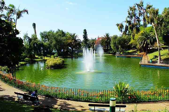 Localizado em uma colina, o parque tem amplos jardins, caminhos sombreados e belos espaços verdes, sendo ideal para uma caminhada relaxante ou um piquenique. A vista espetacular de Funchal e sua baía proporcionam sensação de paz aos visitantes.