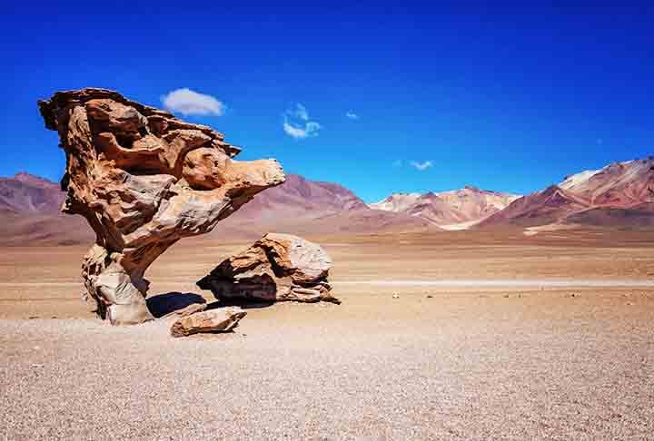 Uma delas é a famosa Árvore de Pedra (Árbol de Piedra), uma rocha esculpida pelos ventos que se assemelha a uma árvore. 