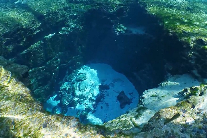 Devil’s Cave System (Sistema de Cavernas do Caverna do Diabo), Flórida, EUA: Este extenso sistema de cavernas subterrâneas é conhecido por suas formações rochosas impressionantes e pela rica biodiversidade. 