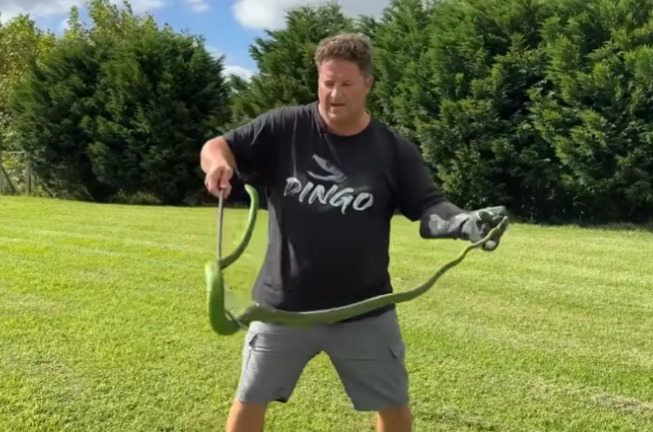 Com a grave reação alérgica, ele foi mantido em estado de coma. Mas, após 30 dias, não resistiu mais e morreu.  No canal, Dingo chegou a produzir vários vídeos sobre a cobra que acabaria provocando a sua morte.