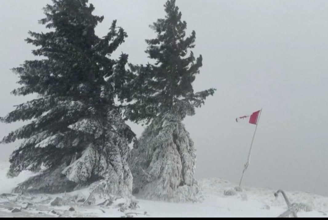 Nevascas ocorrem com alguma frequência em países frios, mas certas tempestades são muito intensas e carregam ventos polares capazes de congelar árvores e o mobiliário urbano. 