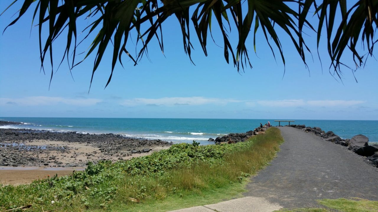 A Sunshine Coast conta com praias de areia branca e uma área com mata que é destino de quem gosta de trilhas e tem vontade de ver de perto animais nativos, como coalas, cangurus e lagartos. Procurada também por quem gosta de mergulho e curte ver golfinhos. 