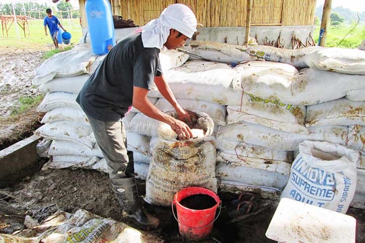 Esse método, que remonta a práticas antigas, é baseado no alto teor de nitrogênio e fósforo presentes na urina, nutrientes essenciais para o crescimento das plantas e que normalmente são obtidos por meio de fertilizantes sintéticos.