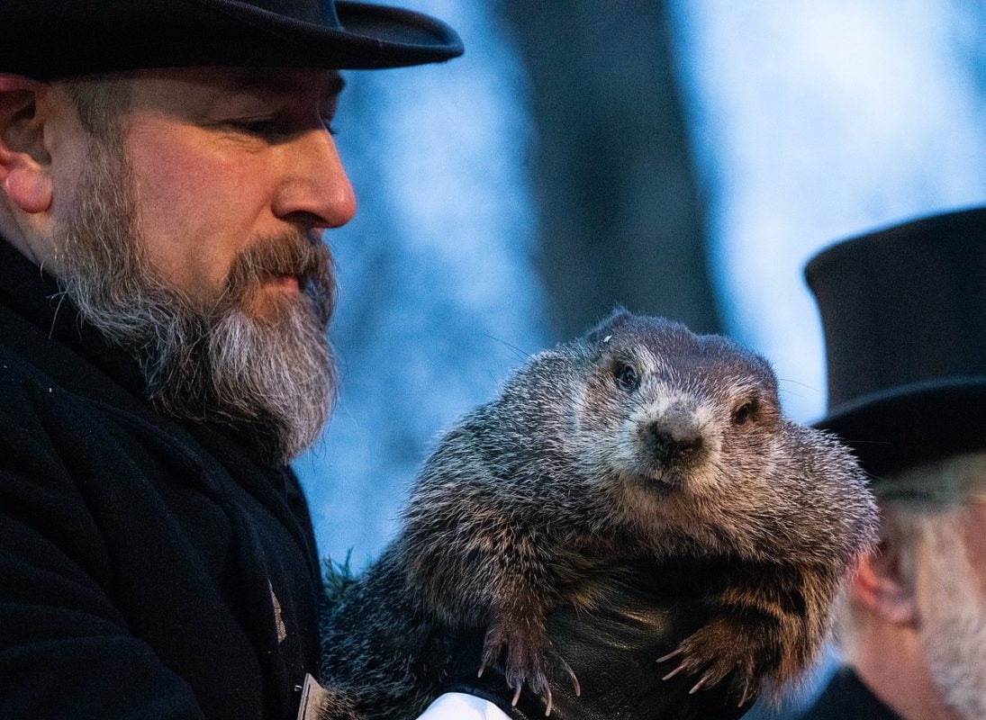 Neste ano de 2024, o animal, apelidado de “Phil de Punxsutawney”, não viu sua própria sombra, indicando que a primavera chegaria sem problema. De acordo com a lenda, se a marmota visse a sua sombra, o inverno (que terminou em 19 de março nos Estados Unidos) continuaria no país. 

