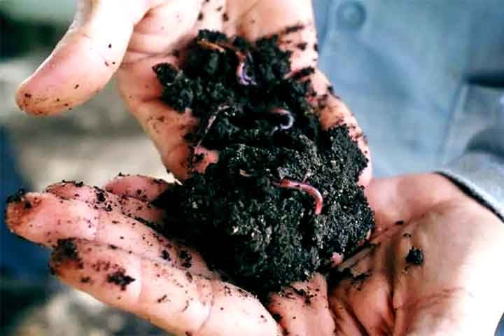 Outros macronutrientes importantes são o enxofre, o cálcio e o magnésio, que desempenham funções vitais no metabolismo e estrutura das plantas.