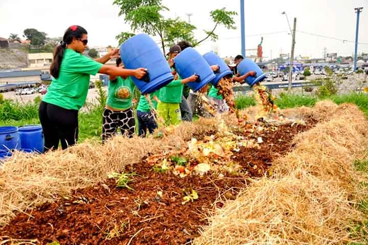 Eles melhoram a qualidade do solo, promovendo a retenção de água e o aumento da biodiversidade microbiana, mas sua liberação de nutrientes ocorre de forma mais lenta.