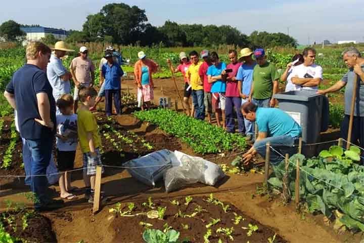Os fertilizantes minerais, por sua vez, são formulados quimicamente e apresentam alta concentração de nutrientes de rápida absorção pelas plantas. São amplamente utilizados na agricultura convencional devido à sua eficiência e previsibilidade de resultados.
