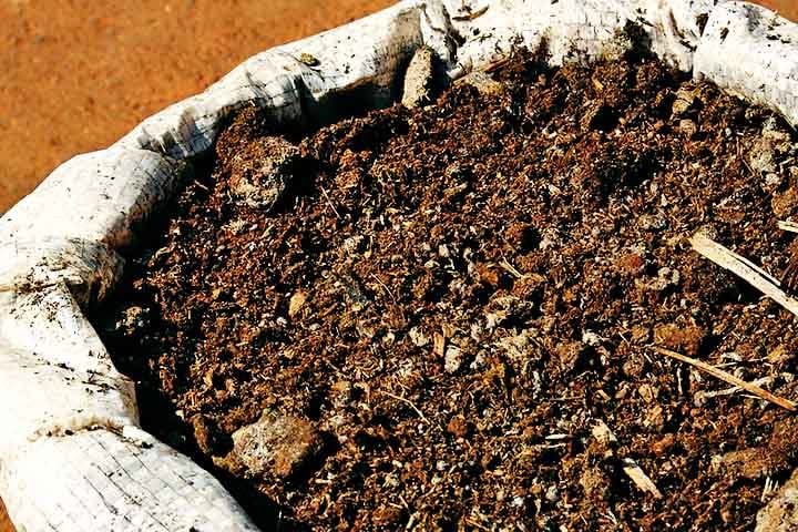 Uma alternativa intermediária são os fertilizantes organominerais, que combinam compostos orgânicos e minerais, proporcionando uma liberação gradual de nutrientes e melhorando a fertilidade do solo. Esses fertilizantes são uma opção sustentável que alia os benefícios dos dois tipos anteriores.