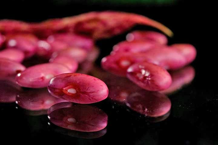 Nesse sentido, os alimentos de origem animal costumam conter mais colina do que as fontes de origem vegetal. Mesmo assim, ela pode ser encontrada em plantas, como nozes, sementes, feijões e vegetais crucíferos.