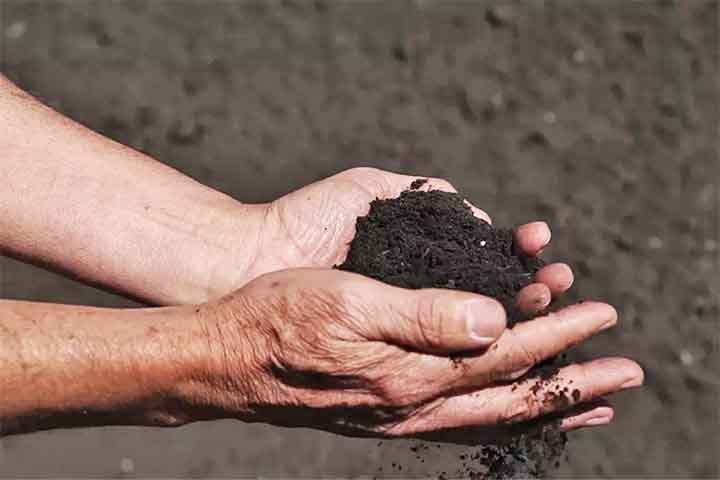 A análise química do solo é fundamental para determinar as necessidades nutricionais das plantas e evitar desperdícios ou desequilíbrios que possam comprometer a produtividade.