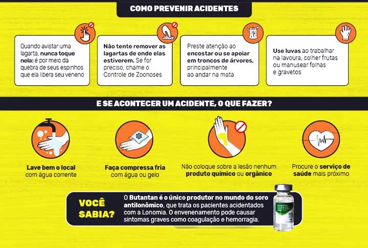 O tratamento é o recebimento a tempo do soro antilonômico e a dose depende da gravidade e é definida a partir da intensidade dos sintomas e sinais clínicos.