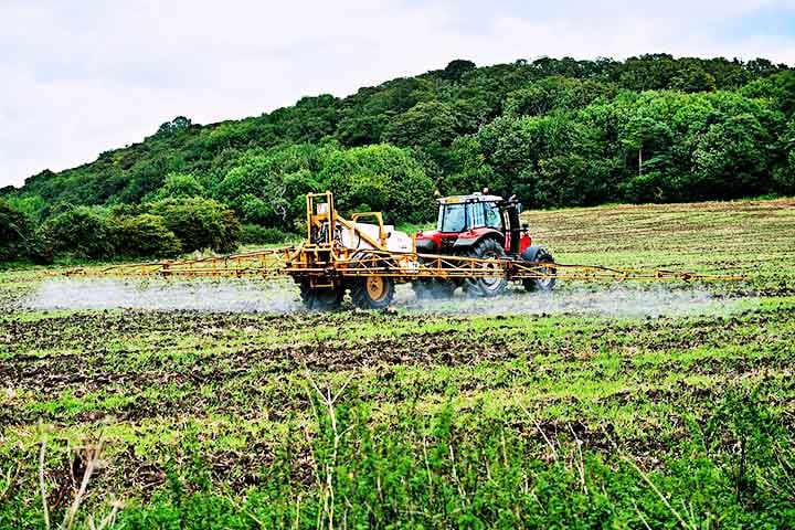 Os fertilizantes podem ser aplicados de diversas maneiras, dependendo da cultura e das condições do solo. A aplicação a lanço é uma técnica em que o fertilizante é espalhado uniformemente sobre a área cultivada, garantindo uma nutrição contínua.