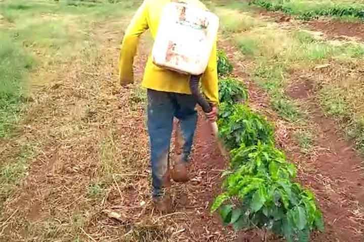 O equilíbrio entre produtividade, custo e impacto ambiental deve guiar a escolha e o uso de fertilizantes, promovendo uma agricultura mais responsável e eficiente. Dessa forma, o manejo adequado dos nutrientes no solo garante colheitas mais saudáveis e sustentáveis para as gerações futuras.