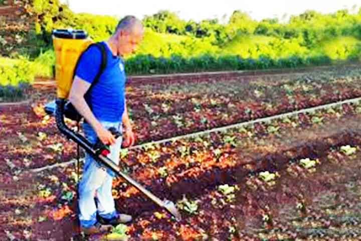 A pulverização é usada para fertilizantes líquidos, permitindo a absorção direta pelas folhas. Já a fertirrigação, que consiste na aplicação de fertilizantes dissolvidos na água de irrigação, é um método eficiente para fornecer nutrientes de forma contínua e direcionada.