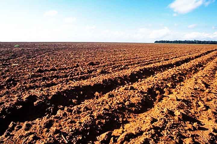 A busca por alternativas sustentáveis, como o uso de urina como fertilizante e a adoção de biofertilizantes, demonstra a importância de soluções inovadoras para reduzir impactos ambientais e melhorar a eficiência dos cultivos.